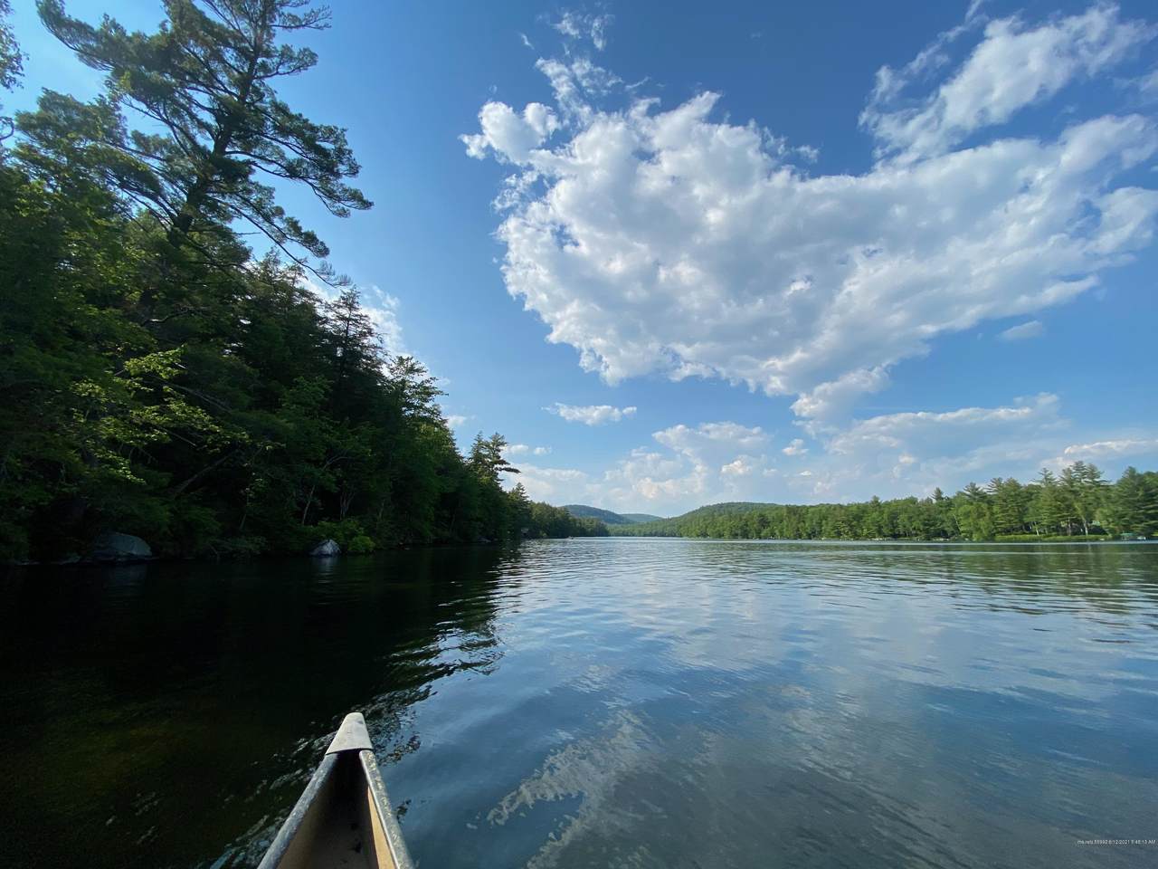 TBD Watson Pond Road - Photo 1