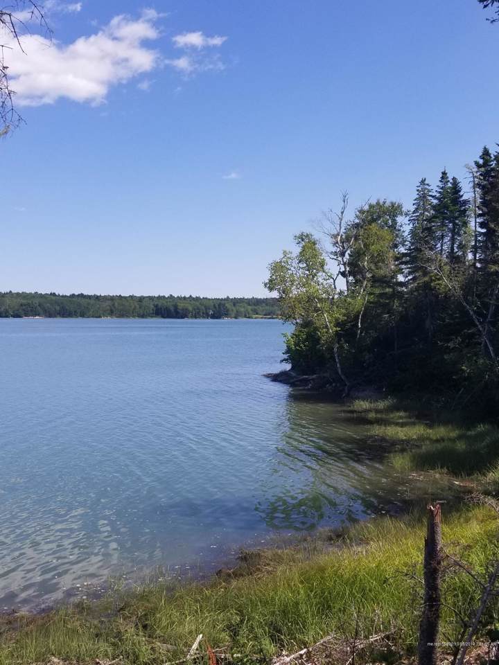 Lot #5 Merganser Drive - Photo 1