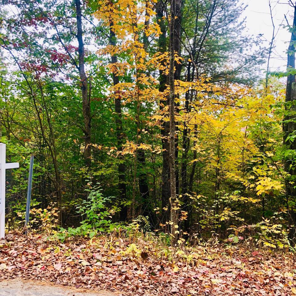 Lot 11.6 Kezar Mountain Rd - Photo 1