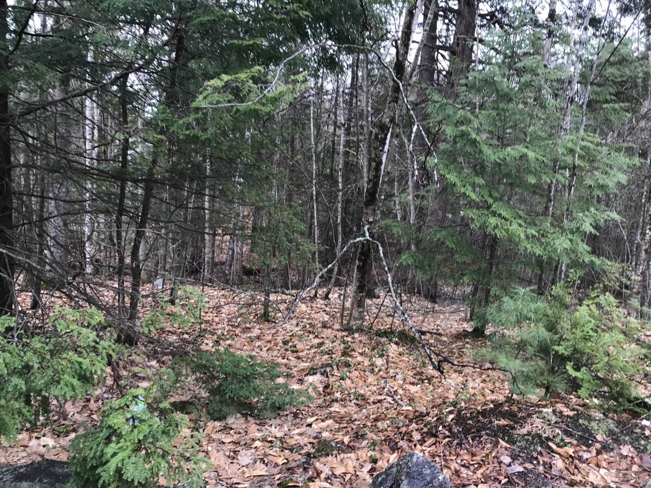 20 A Bakerstown Road - Photo 1