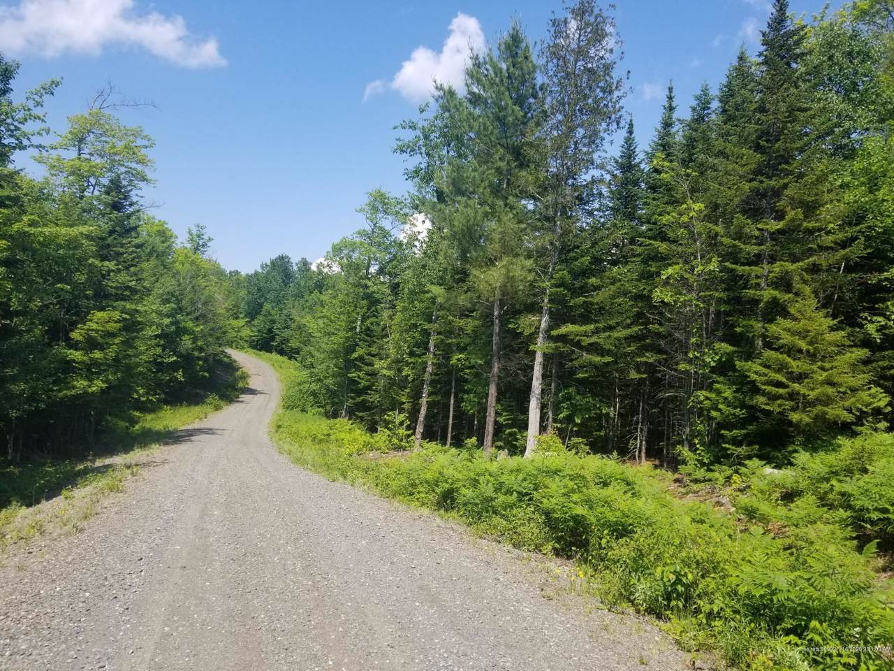Lot 1 Black Bear Lane - Photo 1