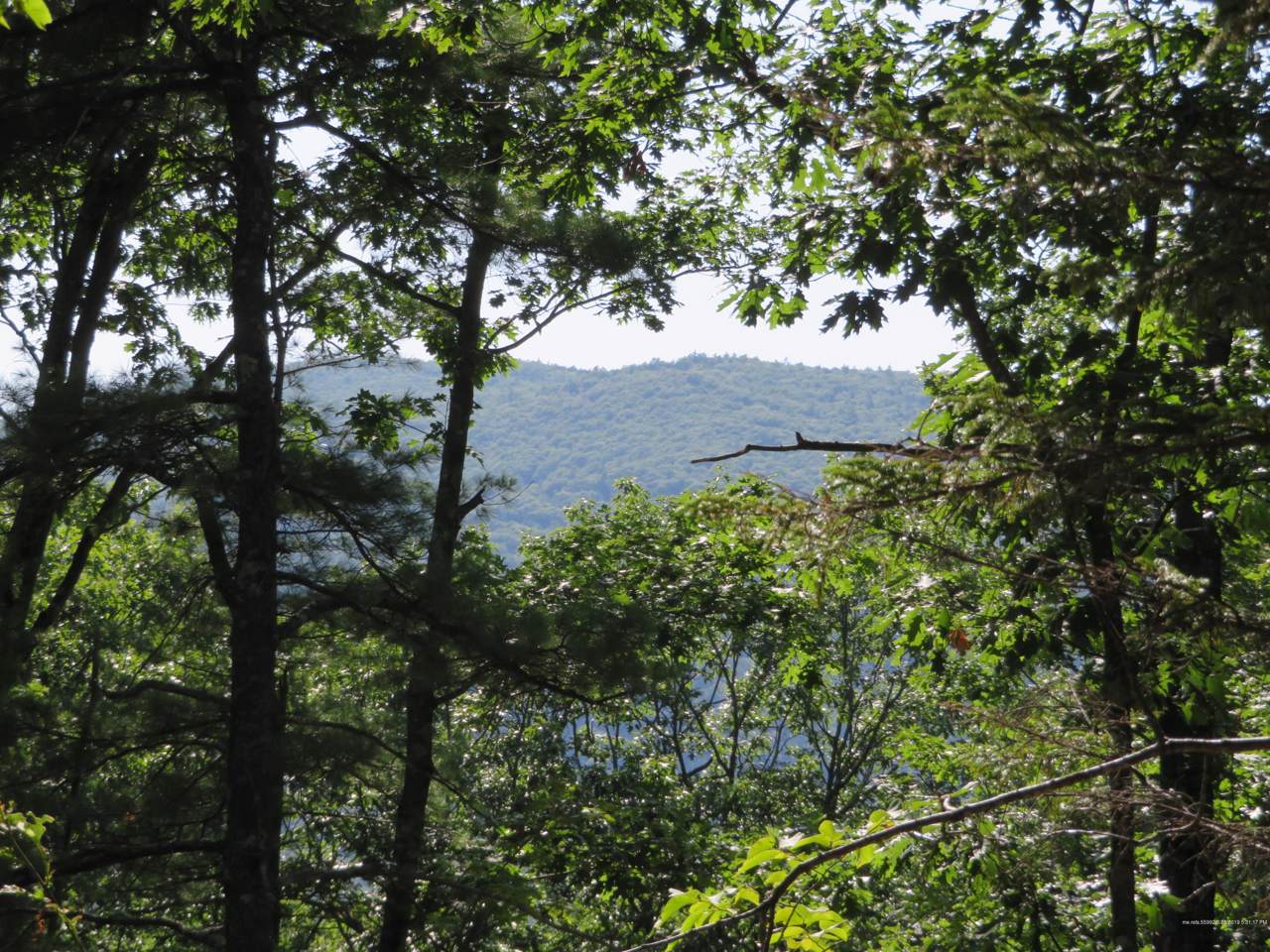 lot 22-3 Hio Ridge Road - Photo 1