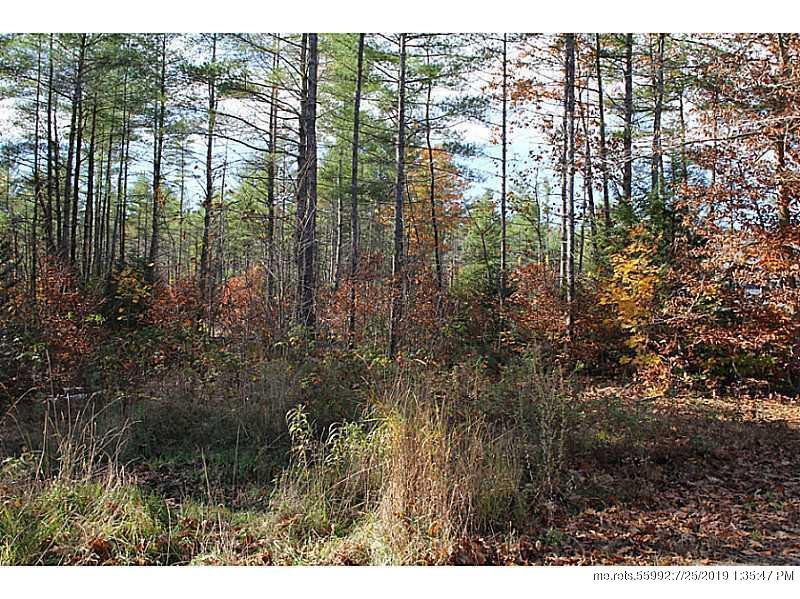 M4 L16-4 Fox Hollow Lane (Lot 4) - Photo 1