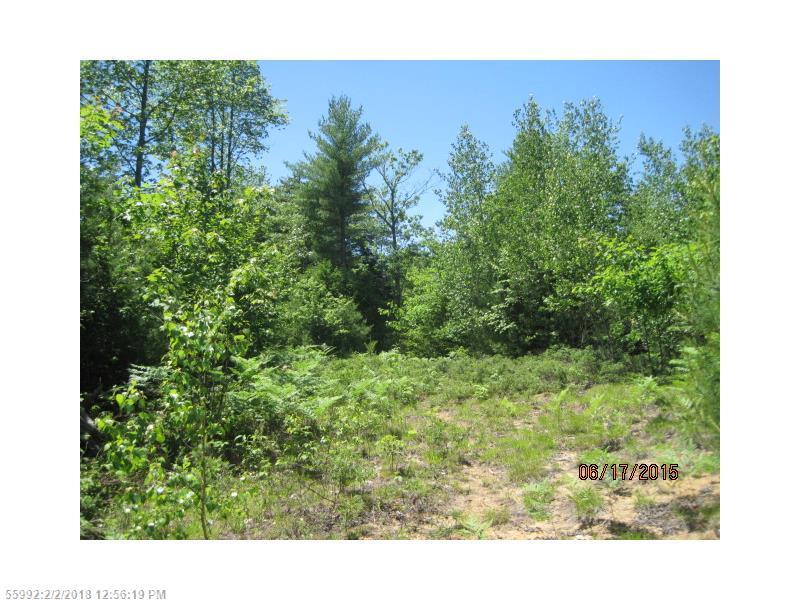 Lot 6 Young Rd - Photo 1