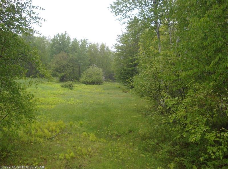 Lot 134 Old County Rd - Photo 1