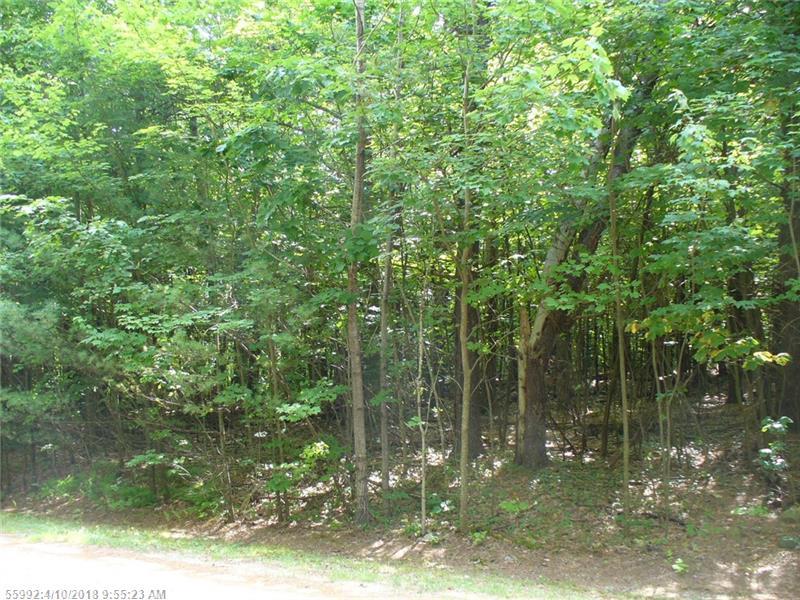 Lot 25.14 Ridge View Ln - Photo 1