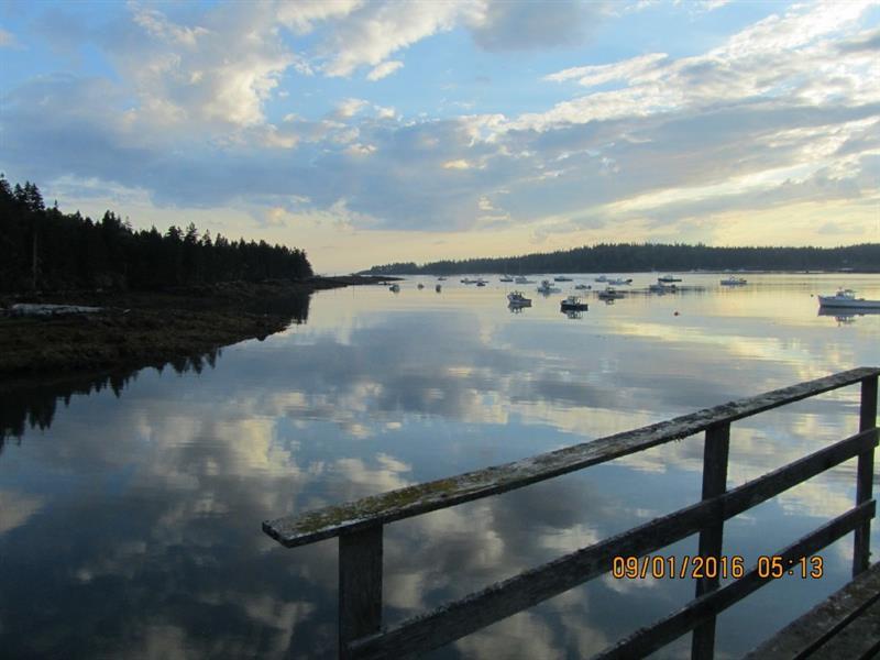 0 Otter Cove Rd - Photo 1