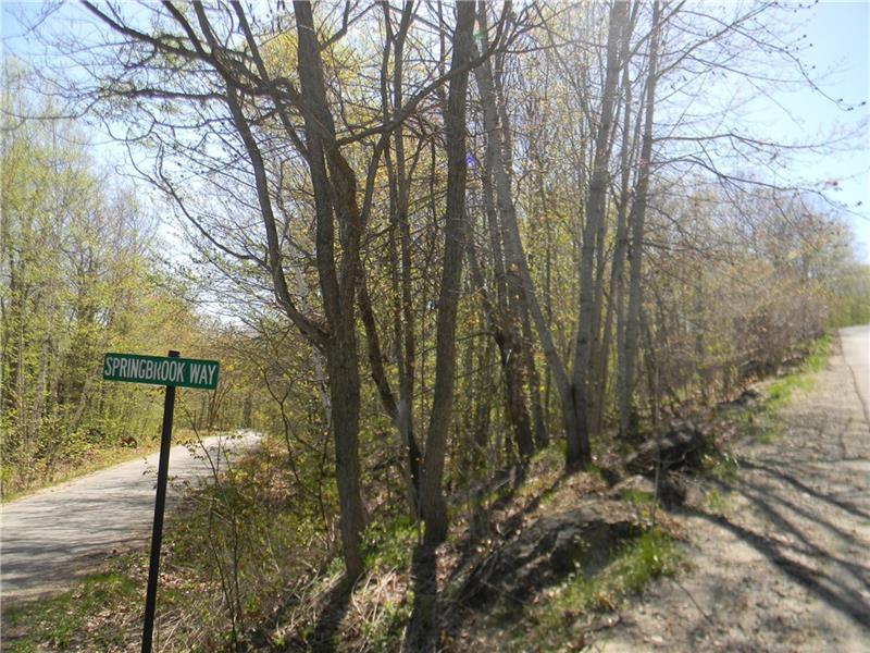 00 Springbrook Way - Photo 1