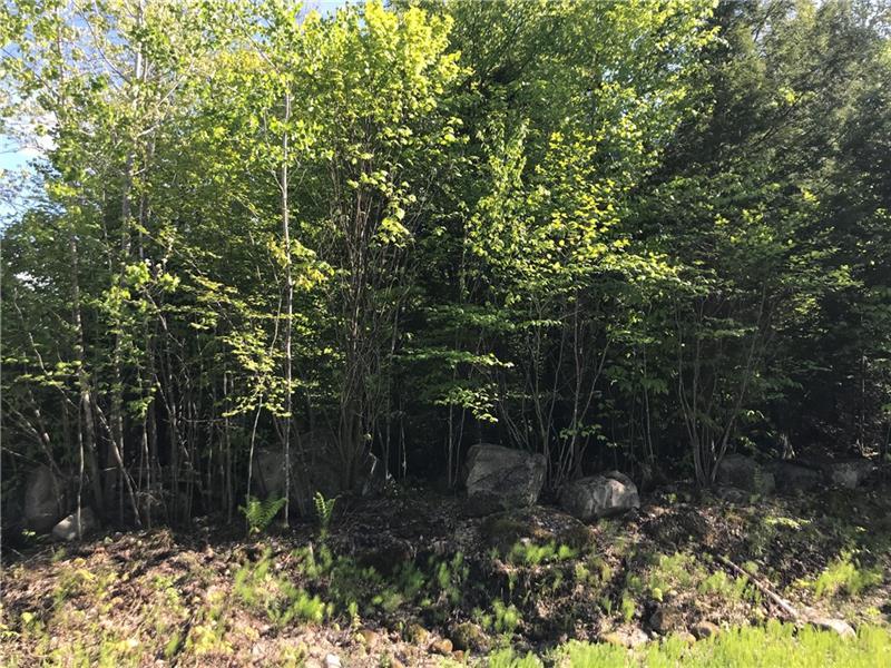 7 Hardwood Cir - Photo 1