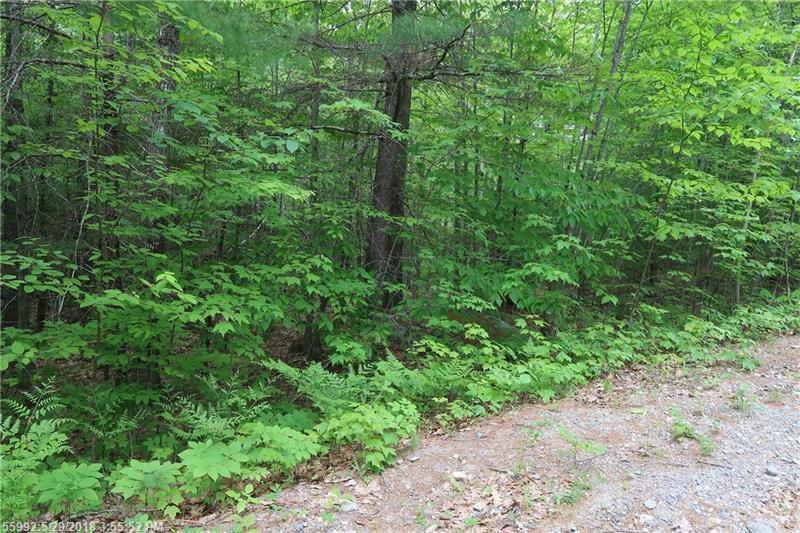 7 Birch Dr - Photo 1