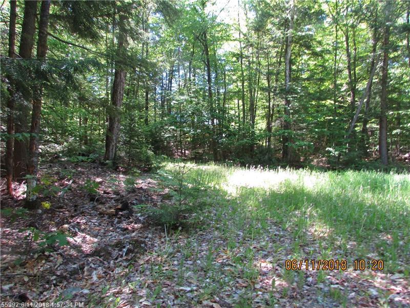 133 Abbott Rd - Photo 1