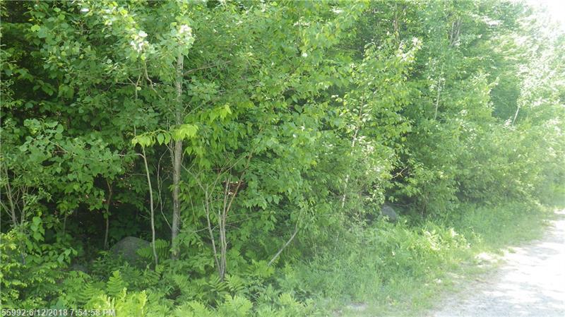 Lot #10 Woods Rd - Photo 1