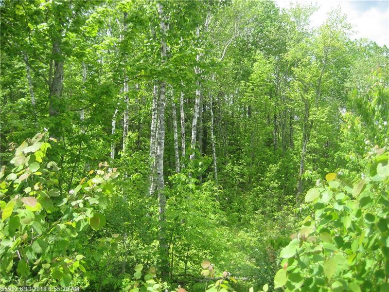 Lot 14 Quarry Trl - Photo 1