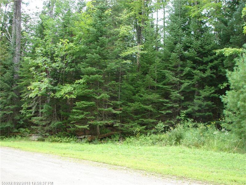38 Pine Grove Drive - Photo 1