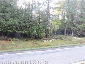 0 Lot # 10 Greeley's Landing Road - Photo 1