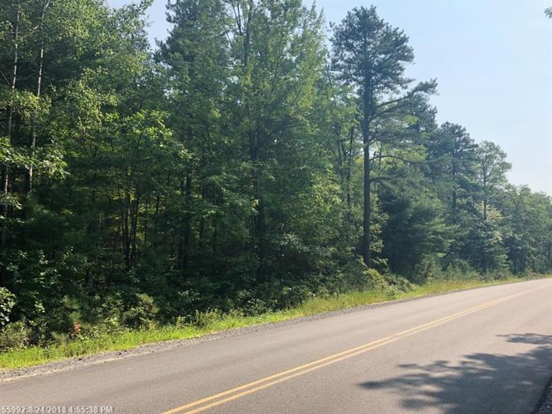Lot 50 Mann Rd - Photo 1
