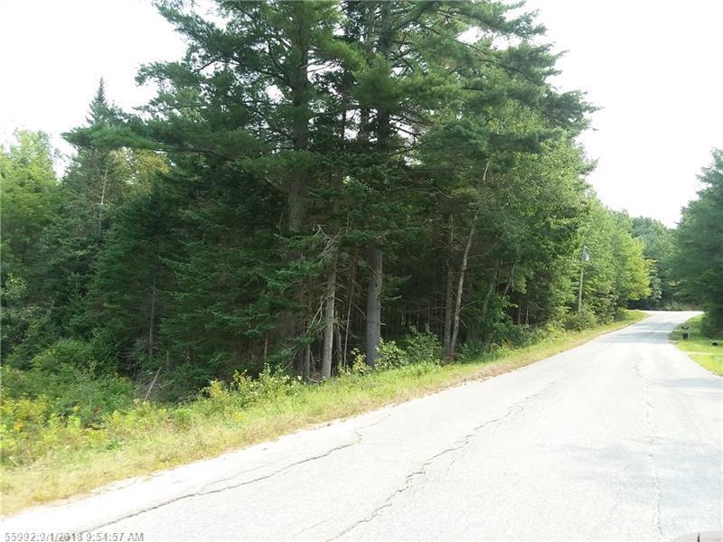 000 Green Valley Lot 4 Road - Photo 1