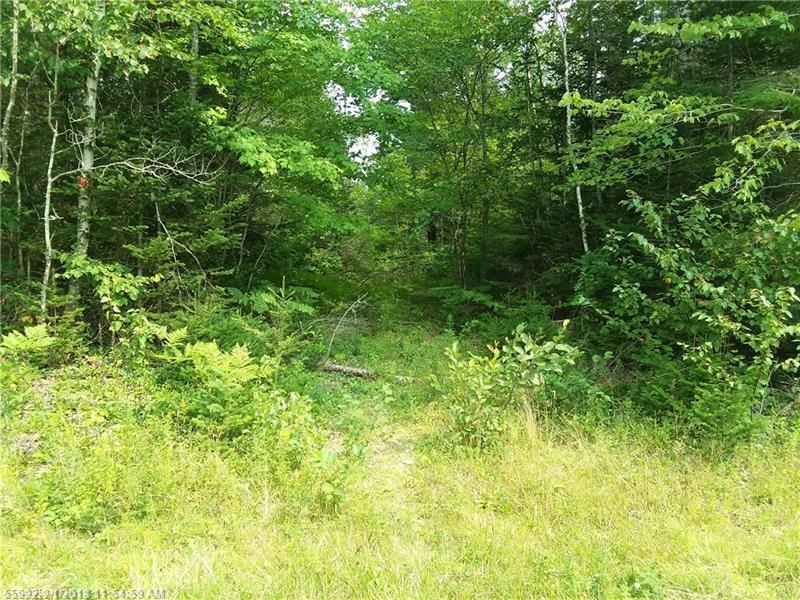 000 Green Valley Lot 6 Road - Photo 1
