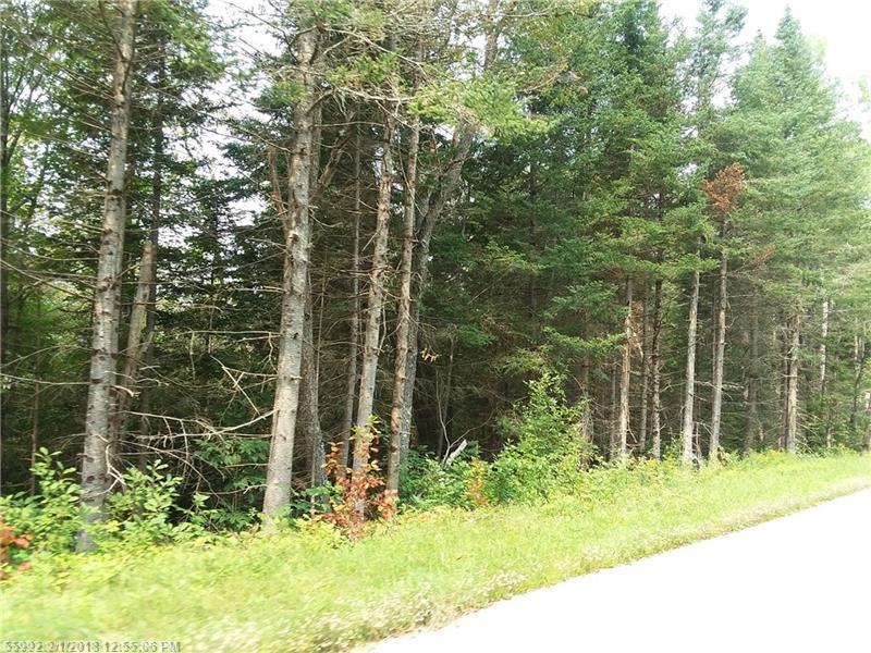 000 Sherer Lot 7 Road - Photo 1