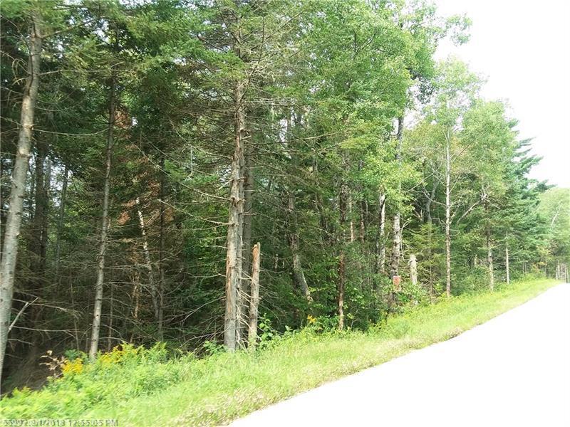 000 Sherer Lot 8 Road - Photo 1
