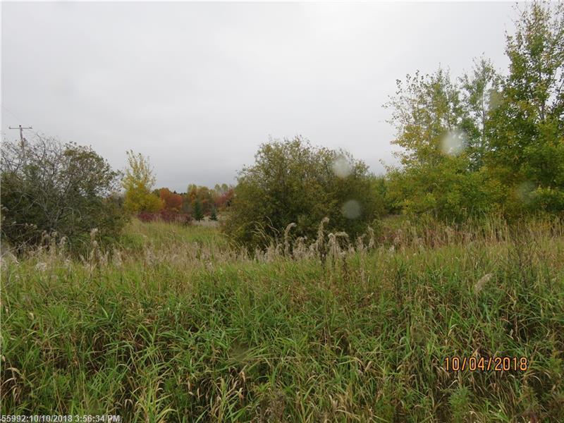 355 East Presque Isle Road - Photo 1