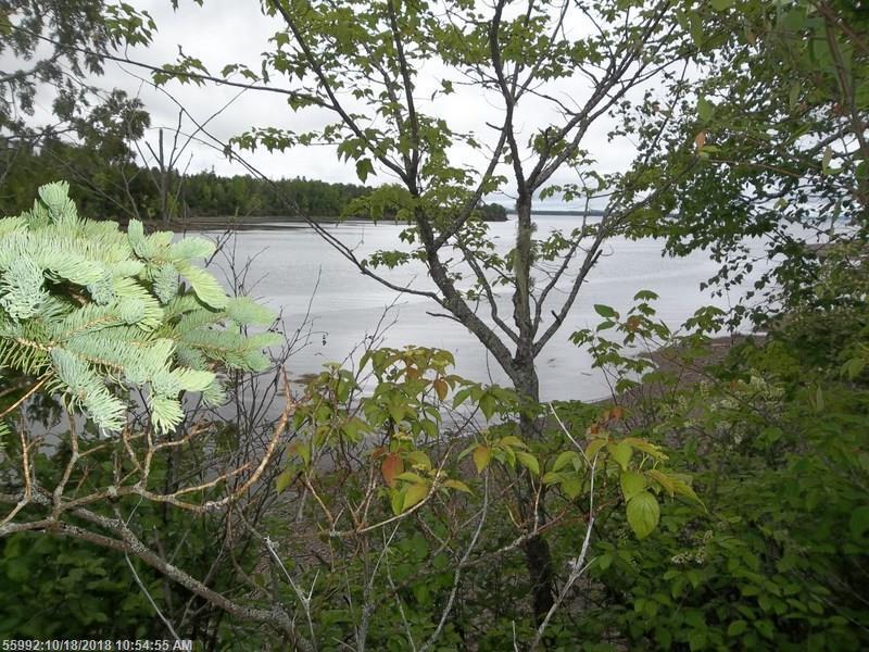 M16 L33 Gin Cove Road - Photo 1