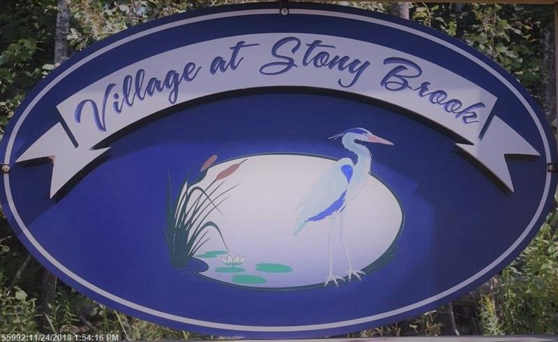 Lot 8 Stony Ridge - Photo 1