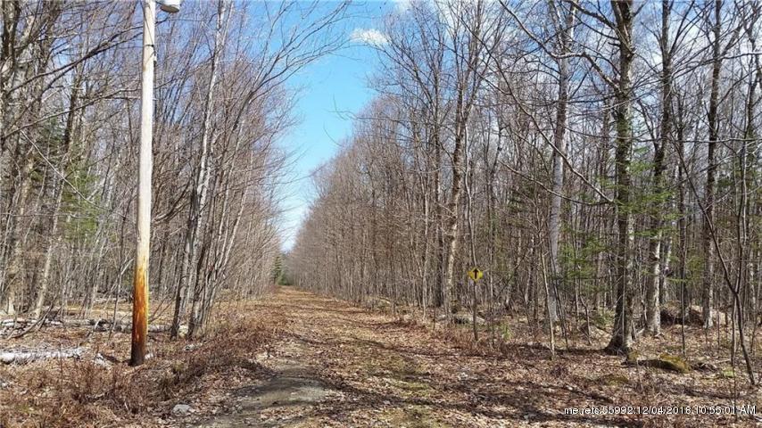 Lot 56 Deer Rd - Photo 1