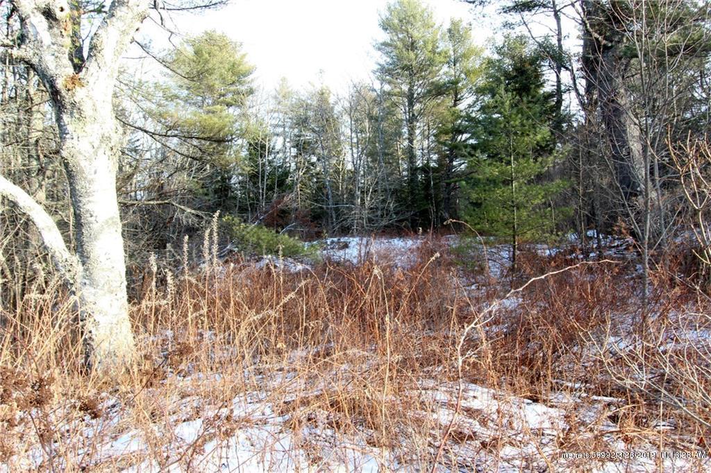 M208L20 Cushing Road - Photo 1