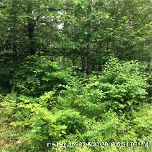 407 Beech Hill Rd Road - Photo 1