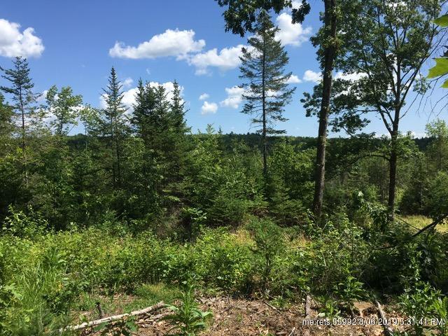 6-8 Moosehead Trail - Photo 1
