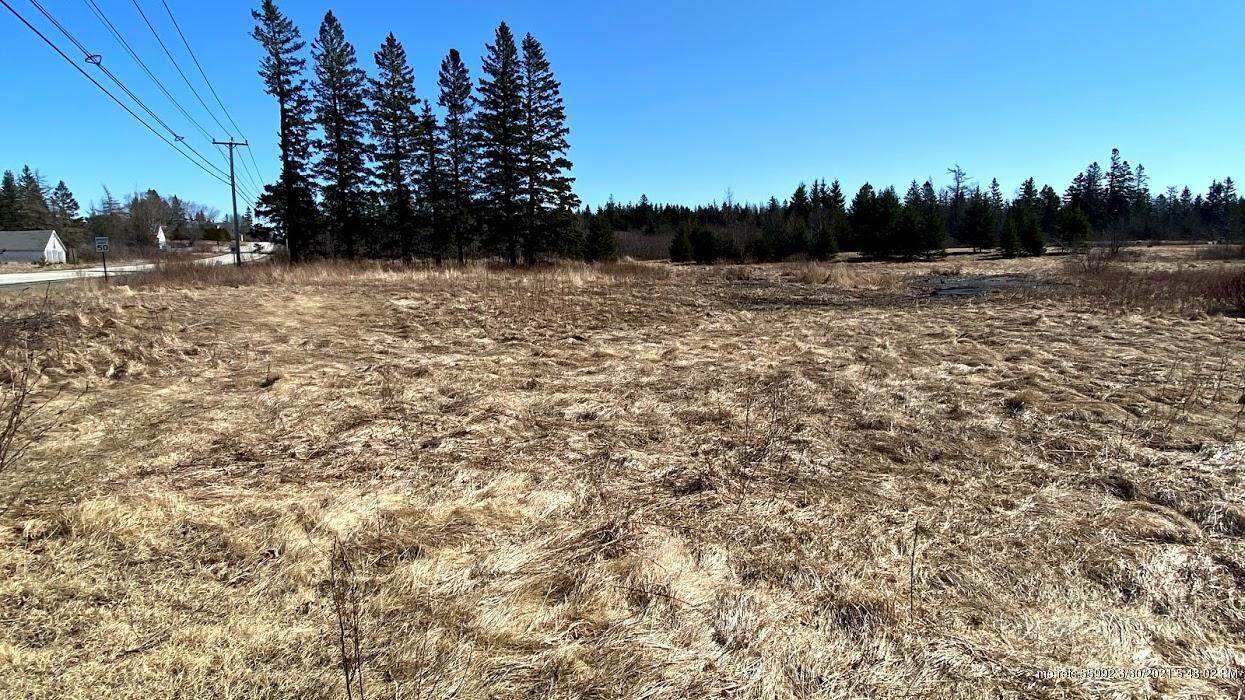 M4 L9 Dixie Road - Photo 1