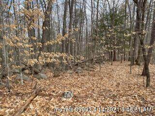 35 Hams Hill Drive - Photo 1