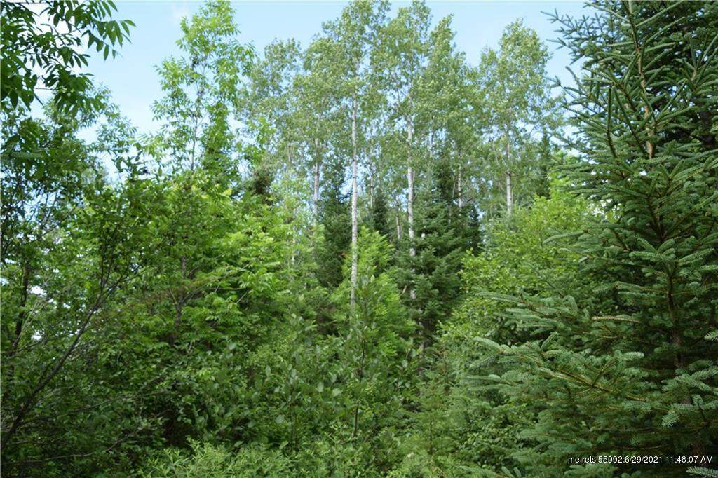 00 Off Jemptland Road - Photo 1