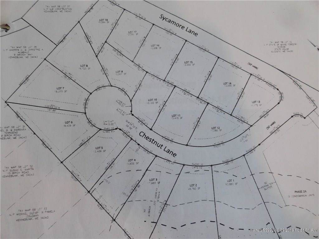 Lot 2 Chestnut Lane - Photo 1