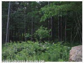 7 Old Nutt Farm Rd - Photo 1