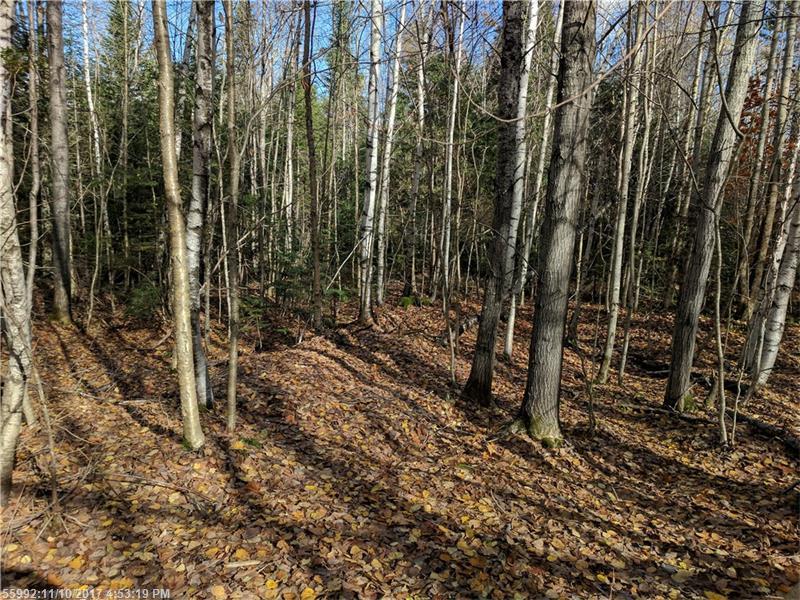 Lot 8 Wilderness Way - Photo 1