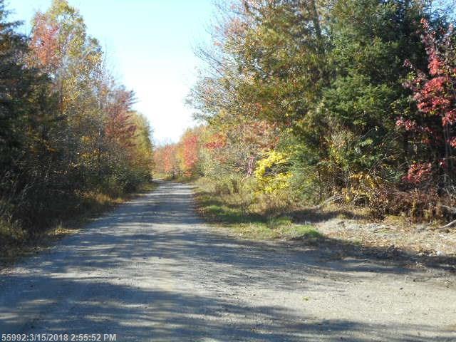 Lot 13 (Part Of) Independence Cir - Photo 1