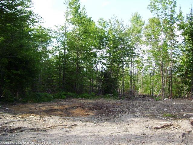 Lot 17 Transalpine Rd - Photo 1