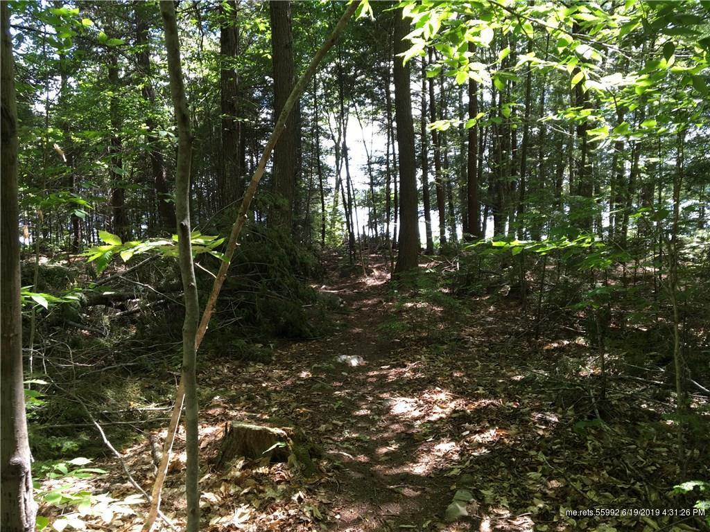 1015 Kirkland Road - Photo 1