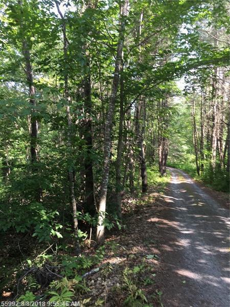 0 Shea Road - Photo 1