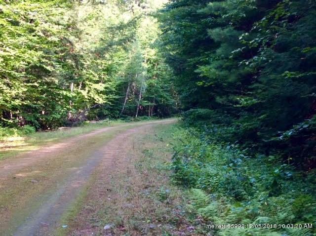 Lot 41 Fernalds Hill Way - Photo 1
