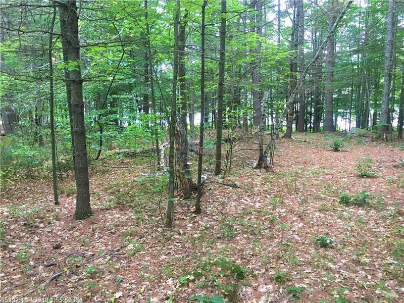 Lot 5 Onamor Drive - Photo 1