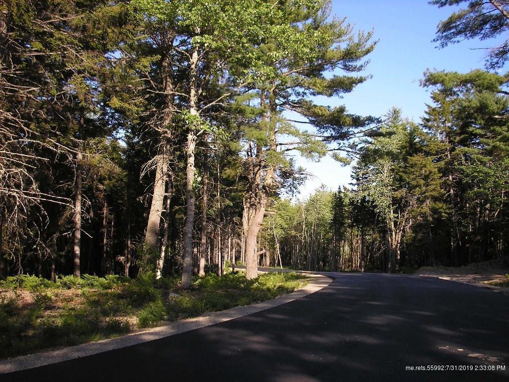 0 White Deer Circle - Photo 1
