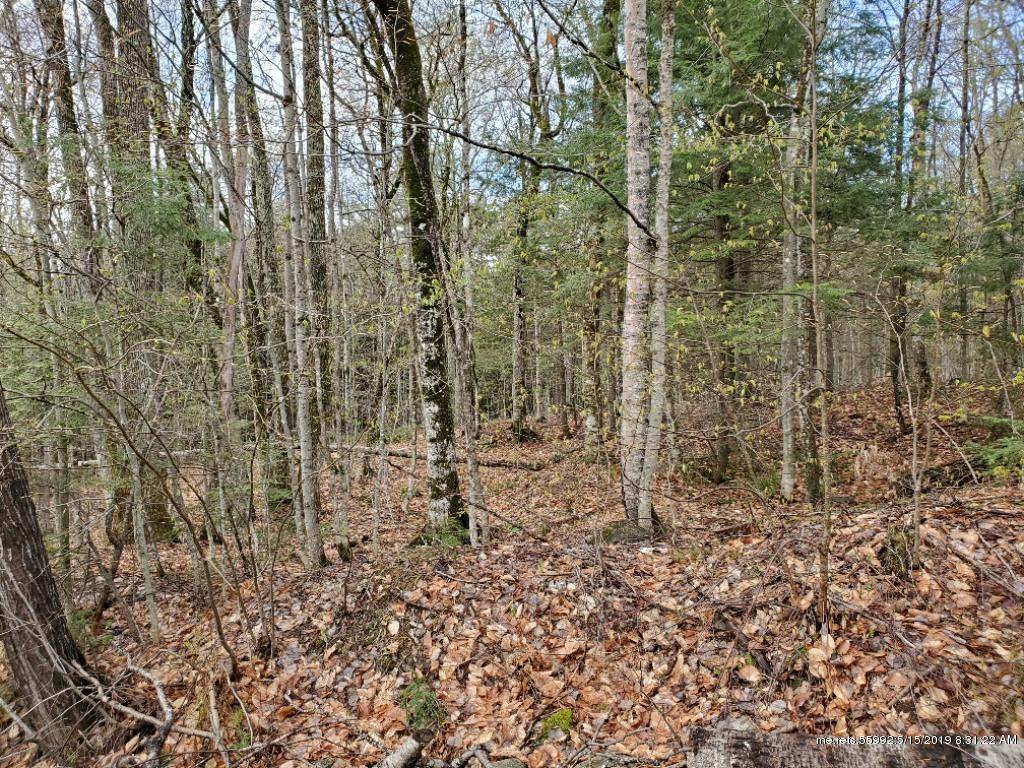M34 L11B-1 Blue Spruce Road - Photo 1