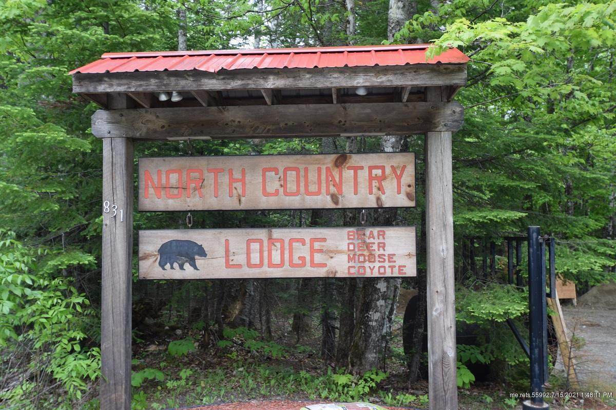 831 Aroostook Scenic Highway - Photo 1