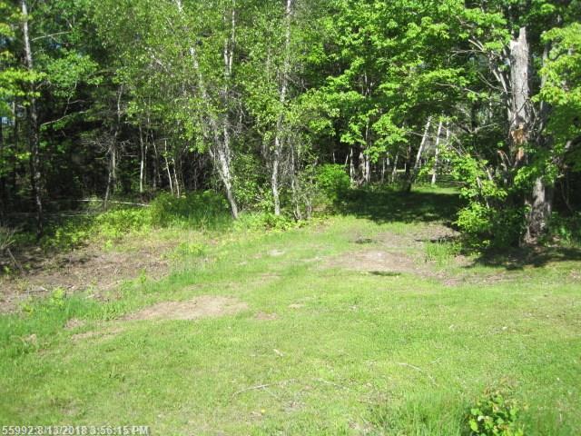 Lot 61 Edinburg Road - Photo 1