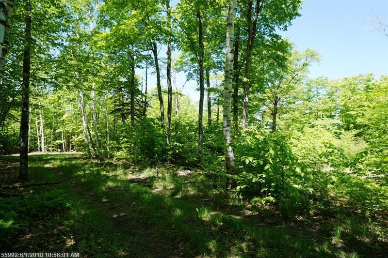 TBD Oak Ridge Rd - Photo 1