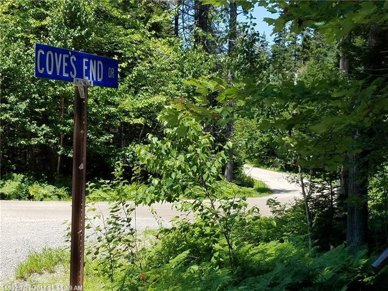 Lot 2 Cove's End Drive - Photo 1