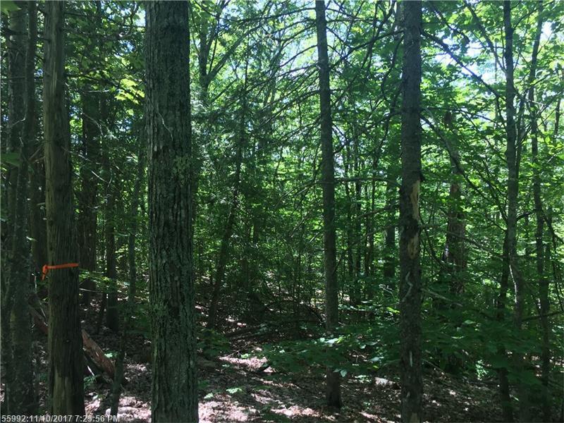 0 Crag Rd - Photo 1